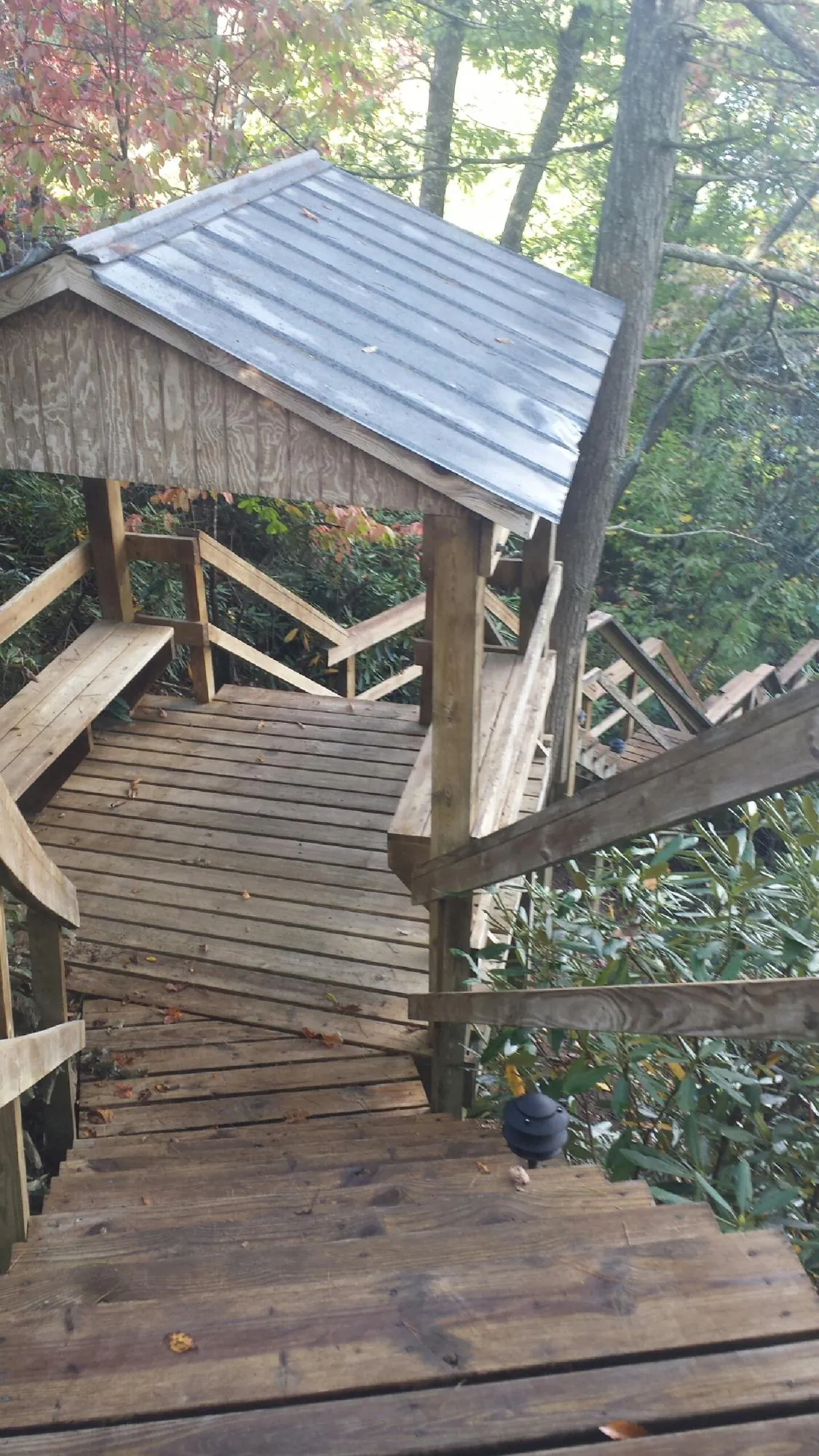 Metal roofed shelter over wooden steps on a wooded walkway — Skylight Repair & Installation work by our crew in Bonita