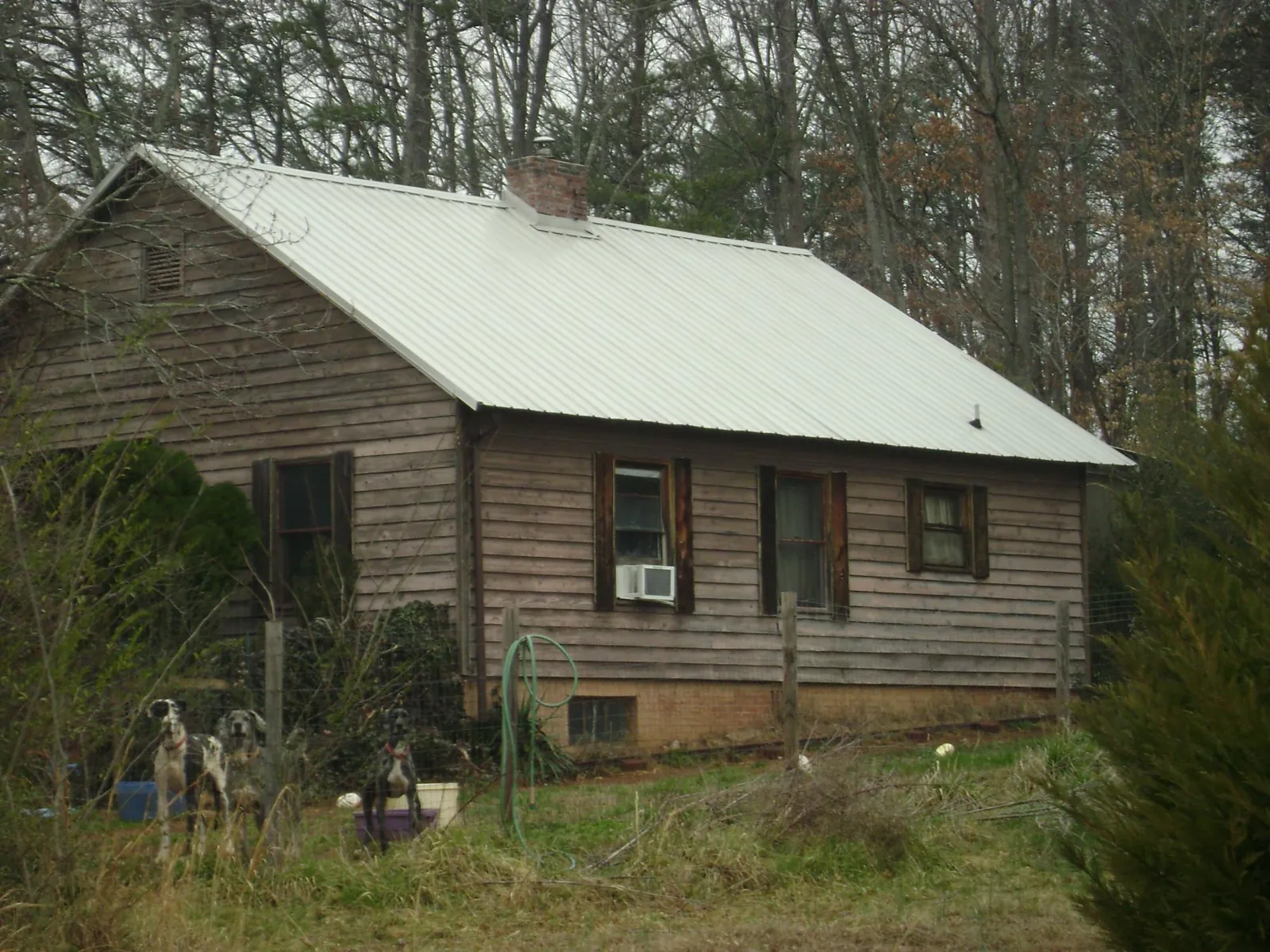 White metal roof on an old wood sided farmhouse, from a Asphalt Shingle Roof Repair job in Bonita